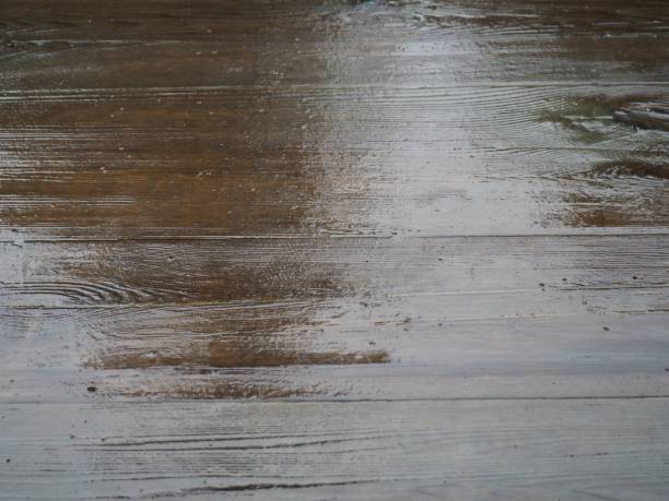 istock Wet wooden footpath in the rain 1355596547
