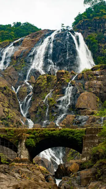 Picture of Dudhsagar falls and the railway bridge