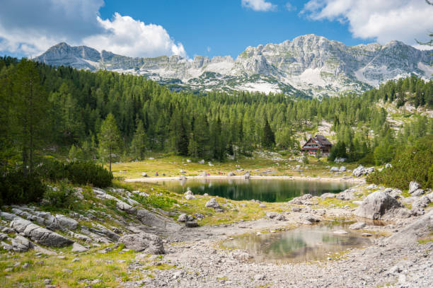 hut at triglav lakes - julian alps lake bohinj lake bohinj imagens e fotografias de stock