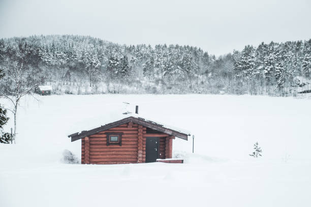 istock Small house on a winter landscape in a snow-covered forest 1355599246