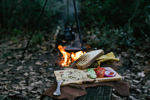 Campfire spool and salad in pan, water bottle and titanium mug near the fire outdoors. bushcraft, adventure, travel, tourism and camping concept Bushcraft, adventure, travel, tourism and camping concept book burning photos stock pictures, royalty-free photos & images
