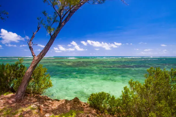 Photography of the beautiful turquoise color indian ocean coast line of Mauritius island on a cloudy blue sky.