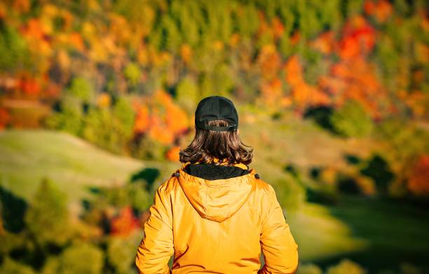 istock Rear View Of Man Standing By Trees In Forest During Autumn 1355607925