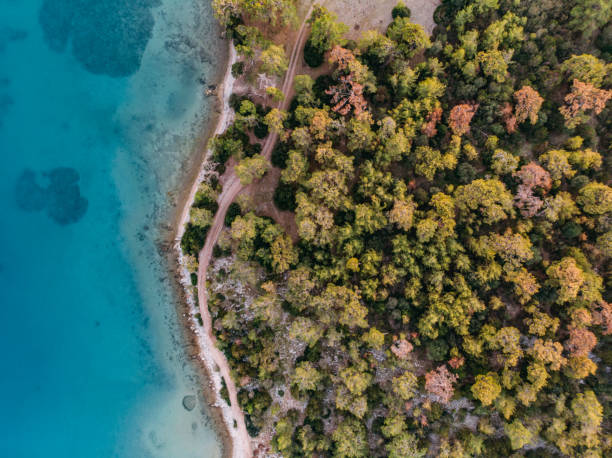 istock Drone View Aegean Sea Coastline and Pine Forest 1355609010