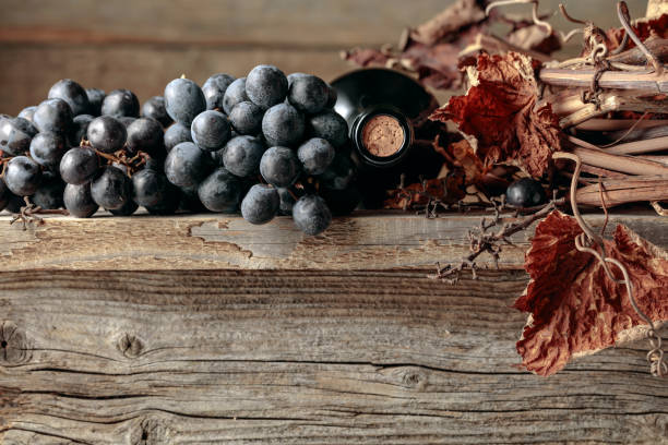 garrafa de vinho tinto com uvas e videira seca em uma velha mesa de madeira. - port wine madeira wine bottle vine - fotografias e filmes do acervo