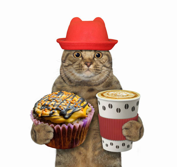 istock Cat2 holds orange cupcake and coffee 1355622141