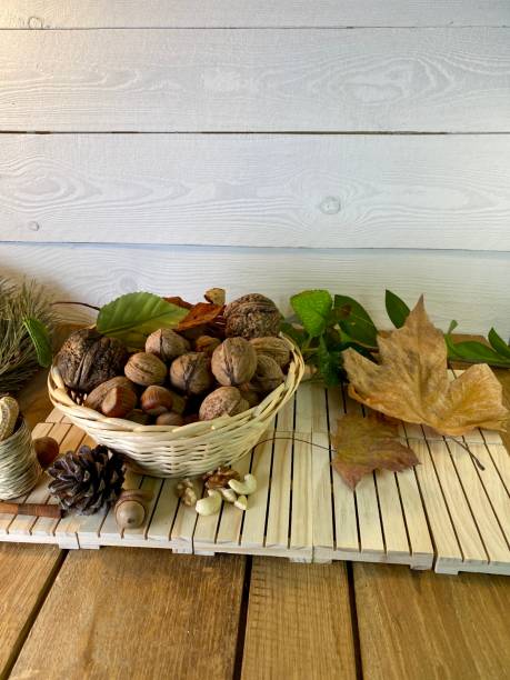 istock On the oak table there are wooden pallets with walnuts and hazelnuts on them 1355623070