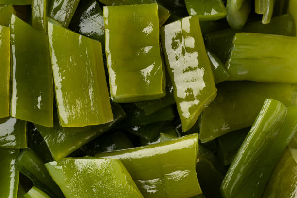 istock Wakame Seaweed Stem 1355624625