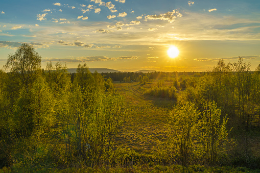 Spring time landscape in direct light at evening time, Gällivare county, Swedish Lapland, Sweden