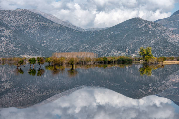 Reflections on a lake in Arkadia Greece