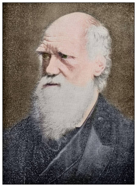 Antique photograph: Charles Darwin vector art illustration