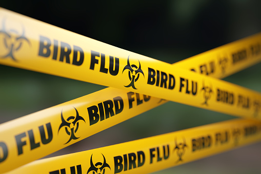 Barrera de cinta de cuarentena contra la gripe aviar antes del fondo desenfocado photo
