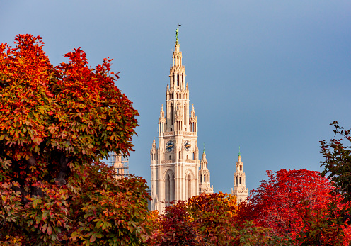 Vienna City Hall tower in autumn, Austria