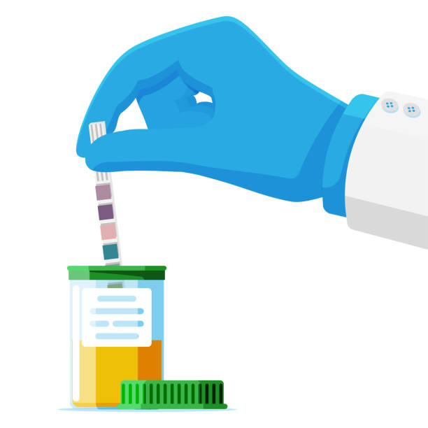 рука врача держит тест-полоску ph мочи в банке - doping test stock illustrations