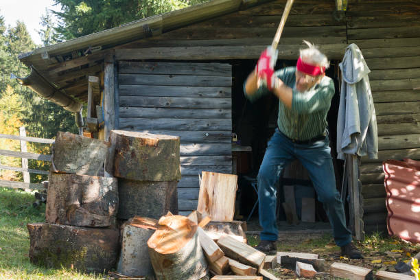 istock Senior man chopping firewood 1355644381