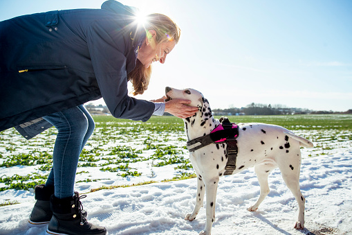 A side-view shot of a mature caucasian woman walking her dog on a snowy winter's day, she is wrapped up in warm clothing. She is stopping to smile at her Dalmatian and give her a stroke.
