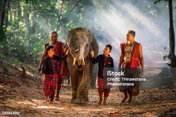 Mahout Family And Elephant Herders In Thailands Elephant Village Stock Photo - Download Image Now