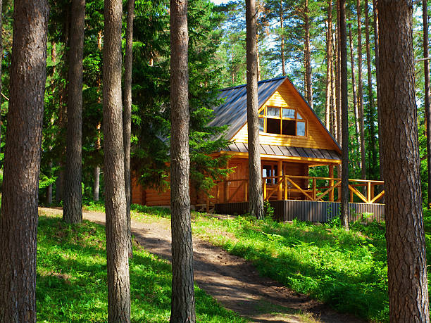 Photo of a rustic house on the woods Log house in the forest woodland stock pictures, royalty-free photos & images