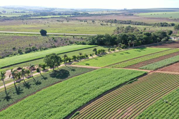 istock organic farm aerial image 1355656233