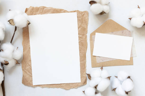 istock Blank cards on white table with cotton flowers top view 1355656441