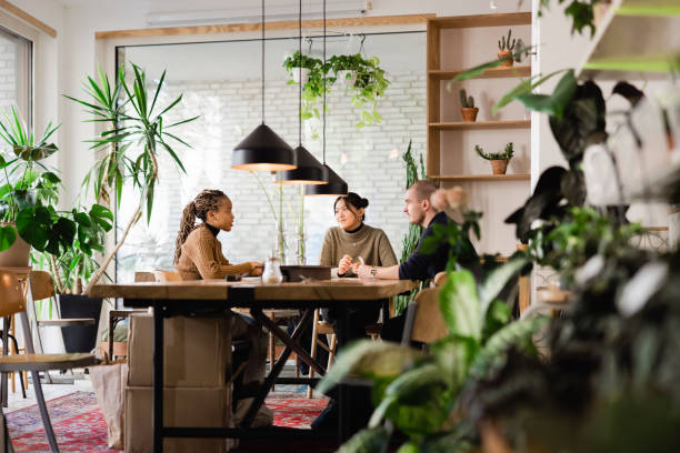 hr managers conducting a job interview at startup office - human resources interview talking people imagens e fotografias de stock