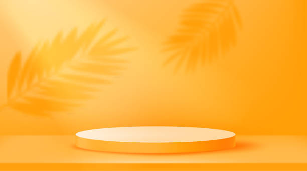 istock Empty illuminated room with circle platform and shadows of leaves on the wall. Realistic 3d style vector illustration 1355661195