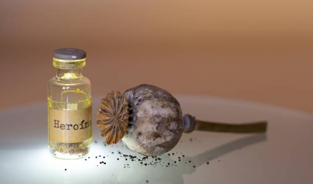 Heroine bottle and capsule of opium Old bottle of brown narcotic substance labeled HEROINE, next to a dry capsule of opium with seeds. Drugs, addictions and drug addiction opium poppy stock pictures, royalty-free photos & images