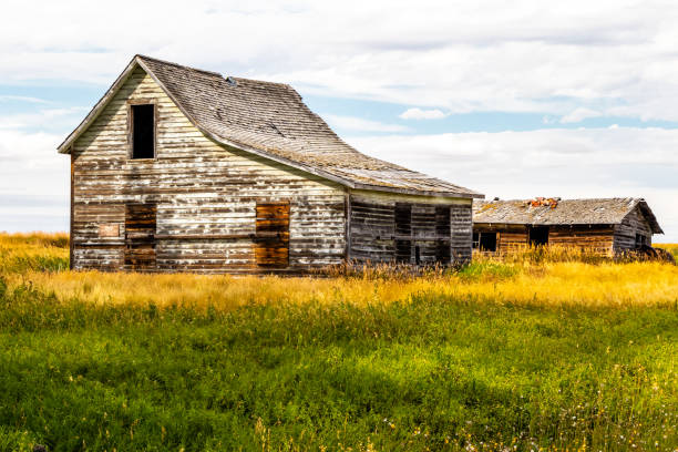 istock Rustic farm buildings on the prairies. Vulcan County, Alberta, Canada 1355666985