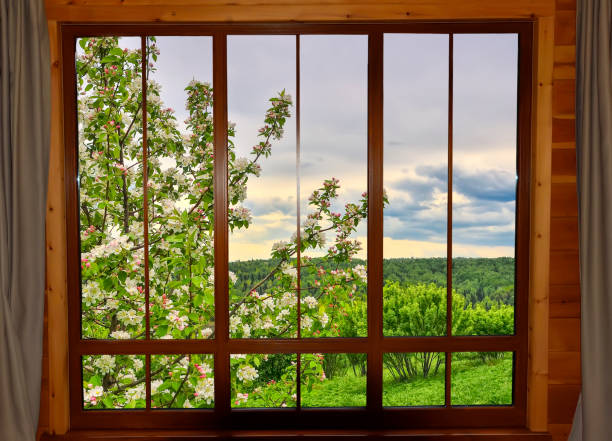 View through wooden window at spring landscape with blooming apple or cherrry tree in spring garden. Blossoming apple tree branch under natural wooden window. Springtime calendar