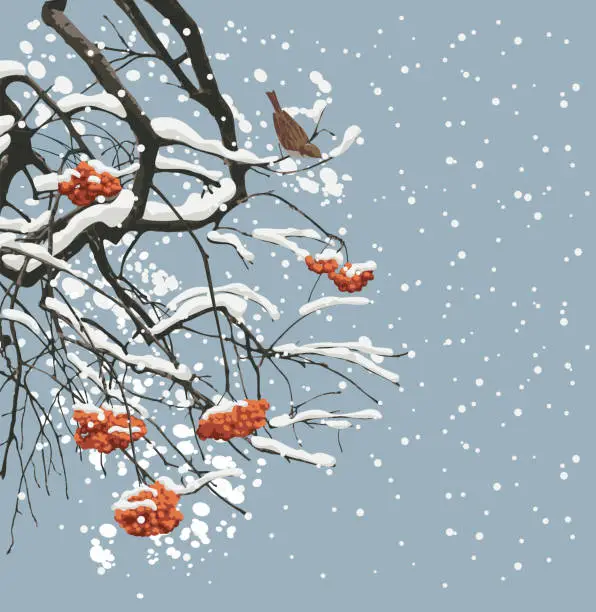 Vector illustration of winter landscape with snow-covered rowan and bird