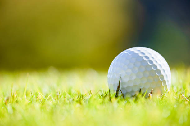 istock Beautiful green grass and pure white golf ball 1355669779