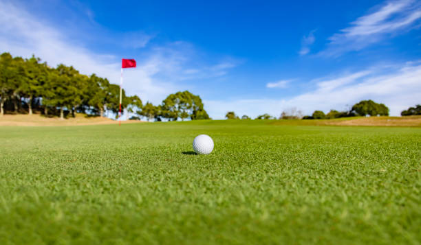 bela grama verde e bola de golfe branca pura - tee box - fotografias e filmes do acervo