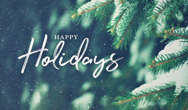 tarjeta de navidad de felices fiestas con primer plano de rama de pino y nieve de fondo - feliz navidad fotografías e imágenes de stock