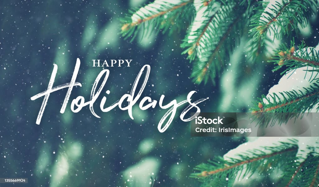 Happy Holidays Christmas Card with Close Up of Pine Tree Branch and Snow in Background Happy Holidays Christmas Card Design with Close Up of Pine Tree Branch and Snow in the Woods in Background Happy Holidays - Short Phrase Stock Photo