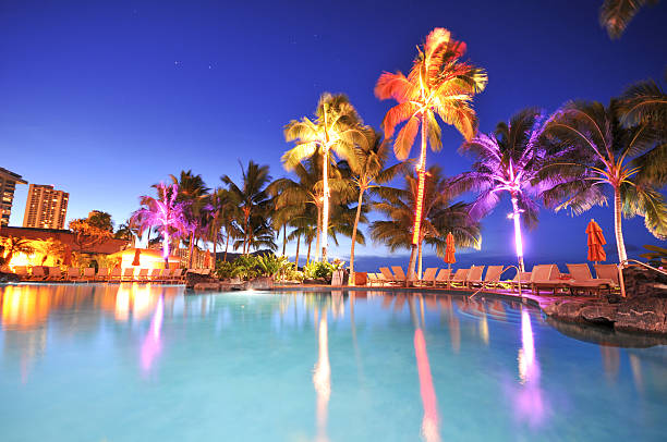 istock Swimming pool with palm trees at night time 135567087