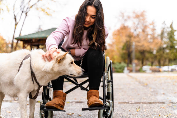 młode kobiety na wózku inwalidzkim walking dog - women winter autumn nature zdjęcia i obrazy z banku zdjęć