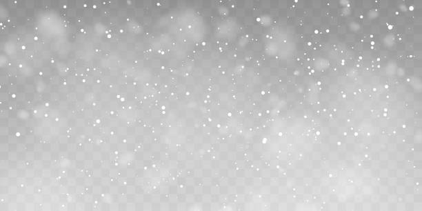 png vector obfite opady śniegu, płatki śniegu w różnych kształtach i formach. płatki śniegu, tło śniegu. spadające boże narodzenie - christmas background stock illustrations