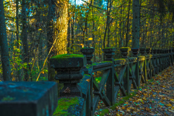 Railing of the old wooden bridge
