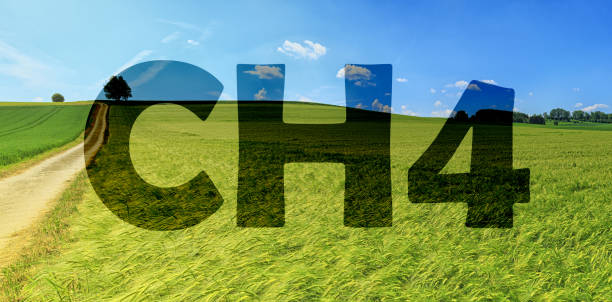 istock CH4 text aigainst meadows. Concept for cow grazing on pasture and emits methane, methane emissions,, pollution,, ecology,, climate change, vegan,. 1355673054
