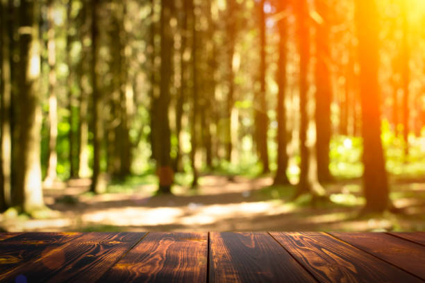 istock Forest wooden table background. Summer sunny meadow with green grass, forest trees background and rustic wooden surface for goods, products, food 1355675028