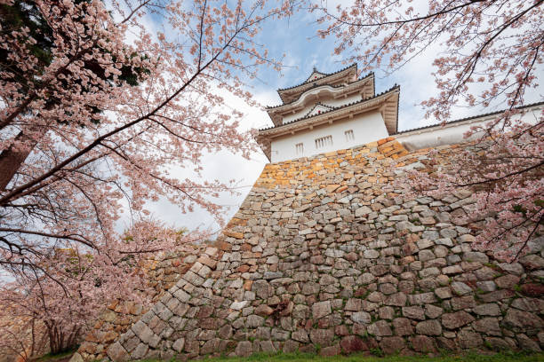 Akashi, Japan at Akashi Castle in Spring Akashi, Japan - April 9, 2017: Akashi Castle corner turret with cherry blossoms in spring season. The historic castle dates from 1617. keep fortified tower photos stock pictures, royalty-free photos & images