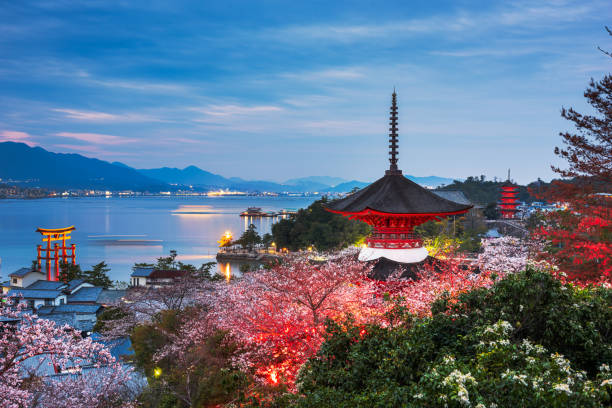 Miyajima, Japan - April 5, 2017: Tahota Pagoda with the floating torii gate of Itsukushima Shrine visible in the Seto Inland Sea on a spring evening. Tahota Pagoda dates from 1523.