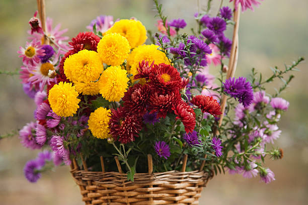 istock Pretty colorful flowers in a basket 135568189
