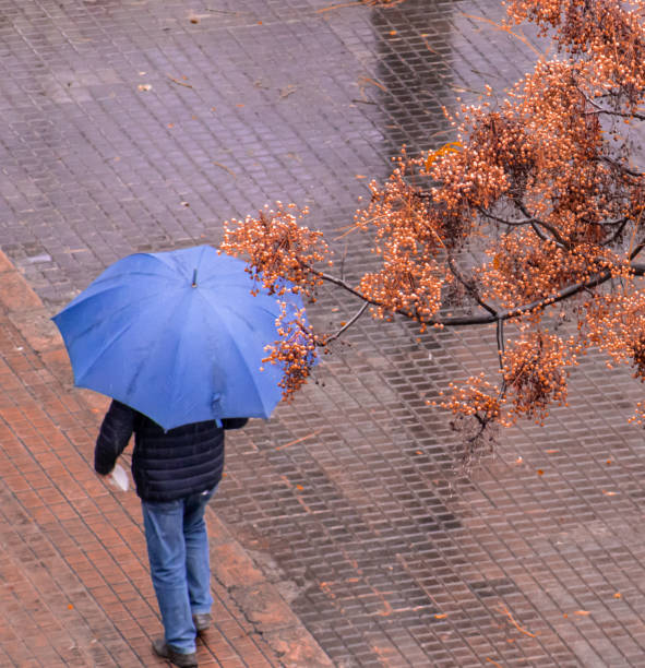 istock Man with umbrella walking in the park 1355682061