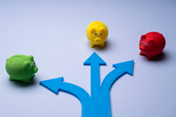 istock Money Investing Options 1355684710