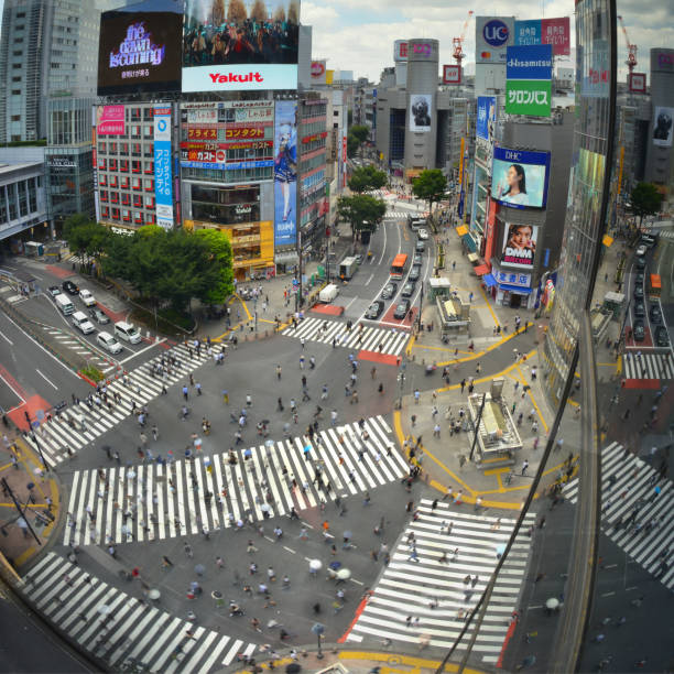 istock Shibuya Crossing. 1355684768