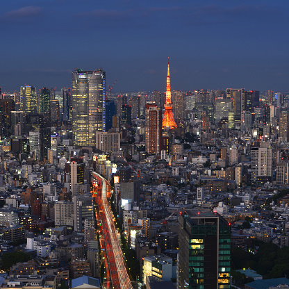 Aerial panoramic view just after sunset in Tokyo, Japan