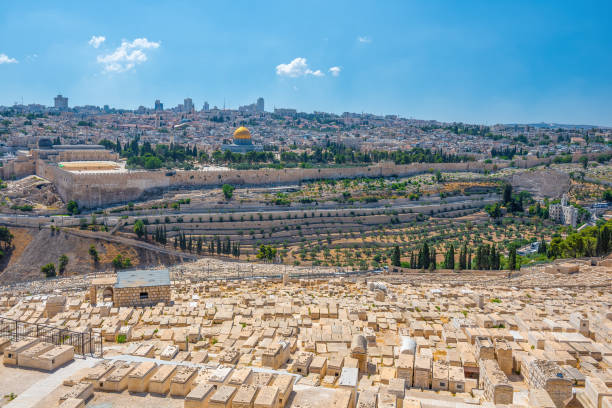 góra oliwna, jerozolima, izrael - jerusalem israel tree ancient zdjęcia i obrazy z banku zdjęć