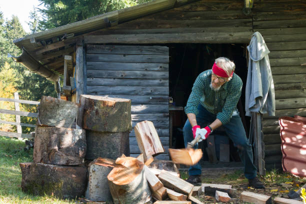 istock Senior man chopping firewood 1355689947