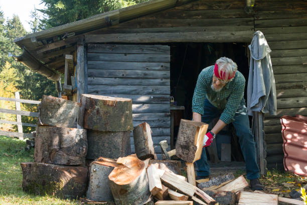 istock Senior man chopping firewood 1355690009